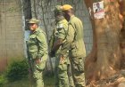 Release Mukandila, demands Lusaka lawyer