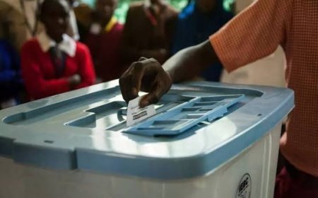 7, 400 Lusaka election officials unpaid