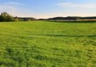 PROTECT TRADITIONAL LAND FROM PREDATORY INVESTORS