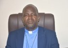 Omission of ECL from list of former President causing tension - CCZ