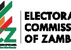 ECZ declares UPND Mandevu Parley candidate unopposed