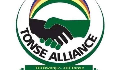 ECZ has grabbed NRPUP seats – Tonse