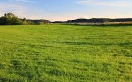 PROTECT TRADITIONAL LAND FROM PREDATORY INVESTORS