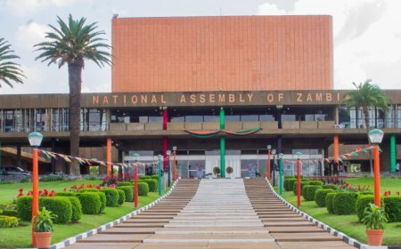Parley advocates a green Zambia