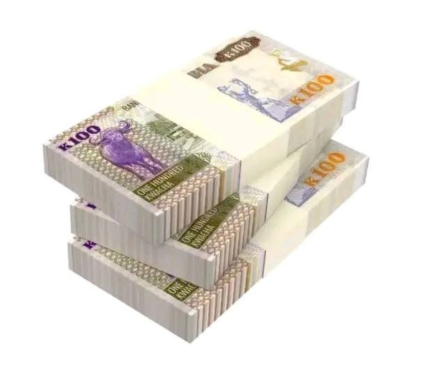 Zimbabwean ng’anga fined K100, 000 for immigration offences