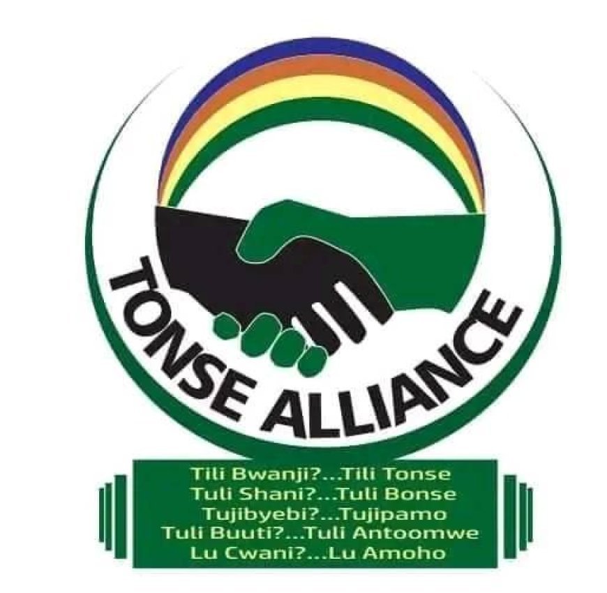 ECZ has grabbed NRPUP seats – Tonse