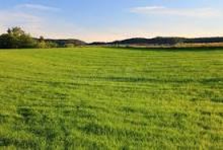 PROTECT TRADITIONAL LAND FROM PREDATORY INVESTORS