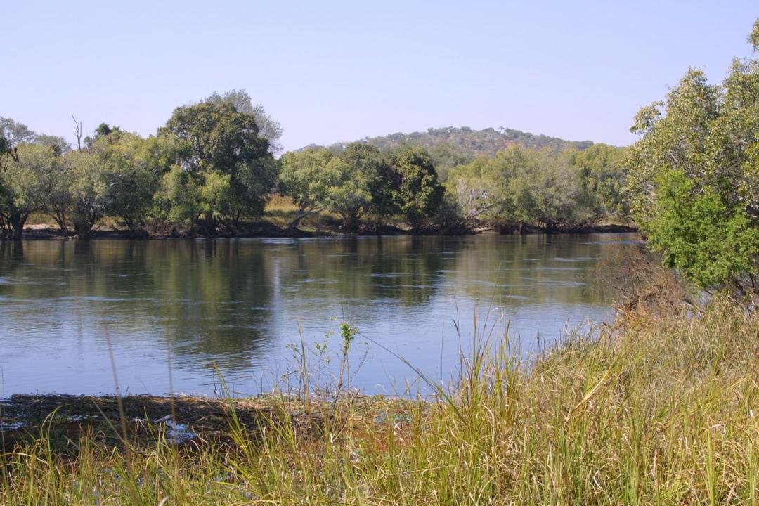 Zambia poised for another bumper harvest – Kangwa 