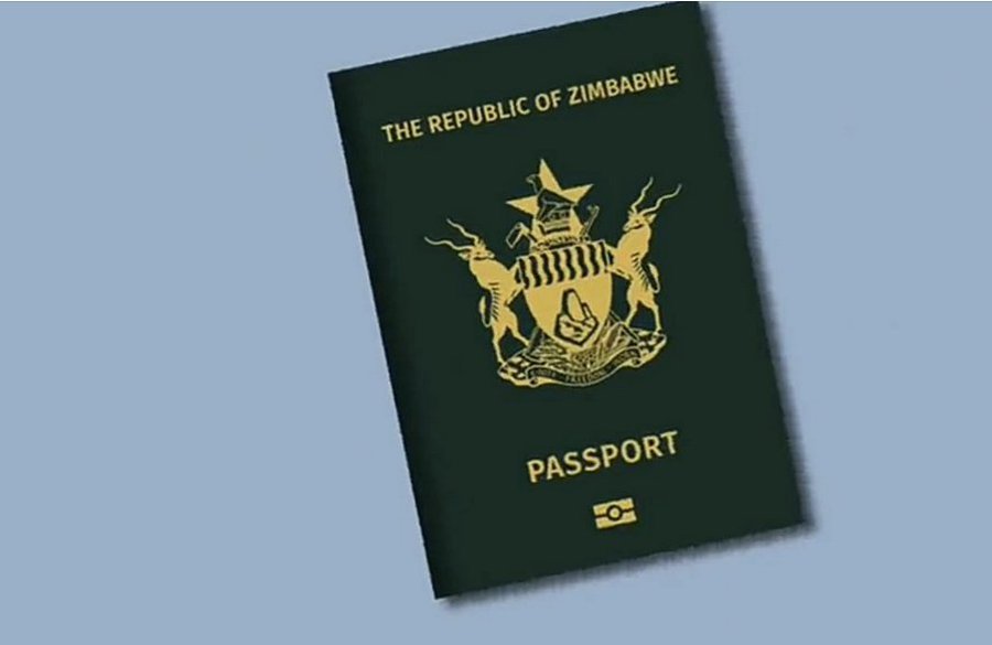 Zim student pleads guilty for working without permit